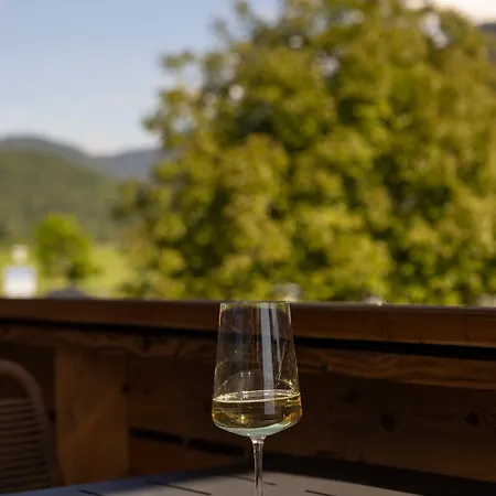 Apartment Denisl Reit im Winkl